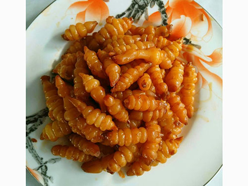  盤菜
